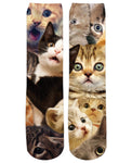 Surprised Cats Crew Socks